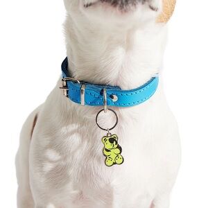 🆕 Gummy Bear Dog Tag/Collar Charm